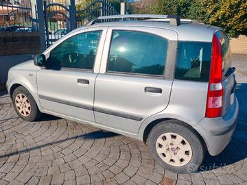 PANDA II serie Dynamic 2012