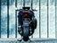 Immagine 7