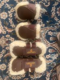 Stinchiere e paranocche Kentucky