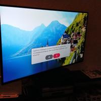 Smart TV LG 49 pollici (49sk8100pla)