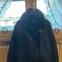 montone stradivarius