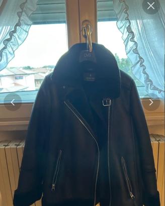 montone stradivarius