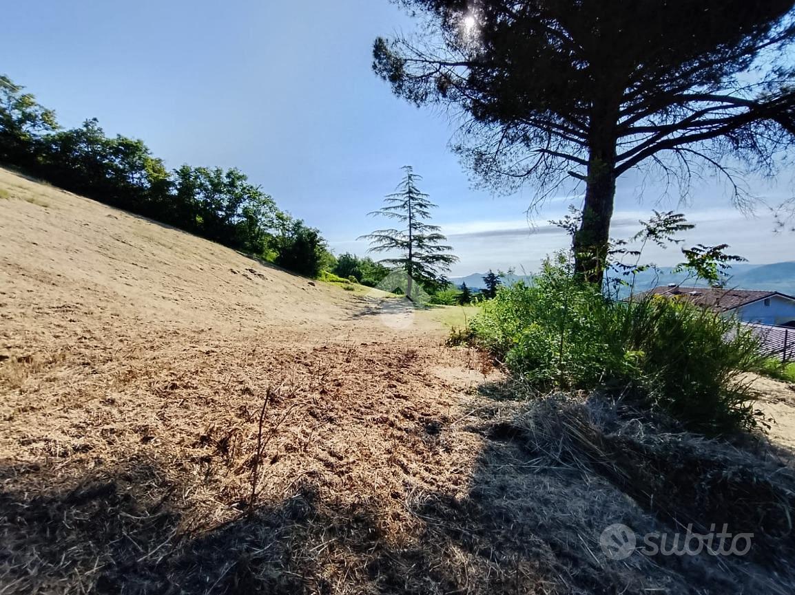 TER. RESIDENZIALE A SOGLIANO AL RUBICONE - Vista 2