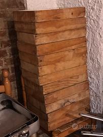 12 Contenitori lievitazione pizza professionali