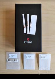 SET SFERE LANCETTE TUDOR BLAK BAY  58 M79030N 