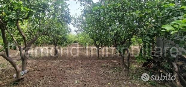 Terreno agricolo-edificabile Fiumefreddo d Sicilia - Vista 4