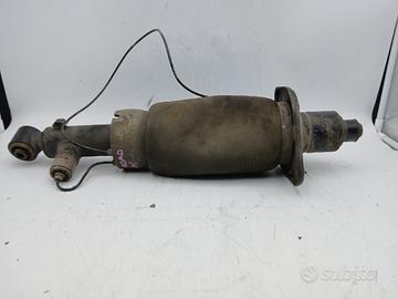 Ammortizzatore posteriore AUDI A6 Allroad C6 (4FH)