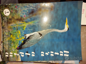 NATURA ALPINA Rivista