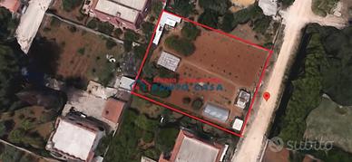 SALINAGRANDE - Terreno edificabile di 1.000 ca