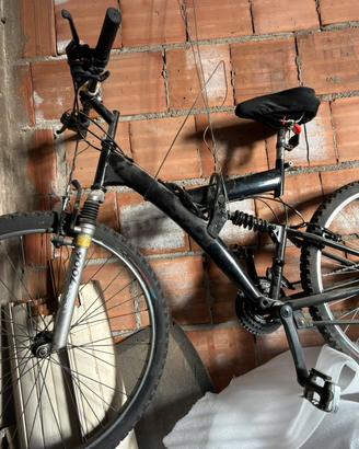 Mountain bike