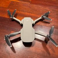 Dji mini