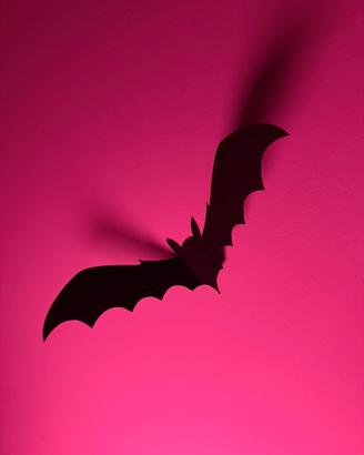 Decorazioni Halloween - Pipistrelli