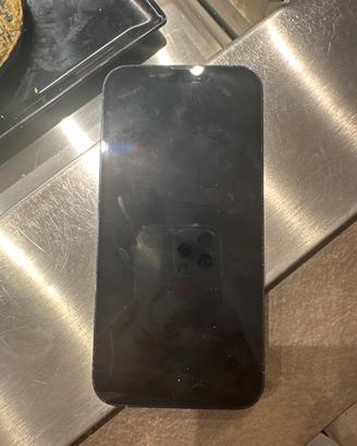 IPhone 13 Pro Max 1TB (1000 GB) - Da Riparare