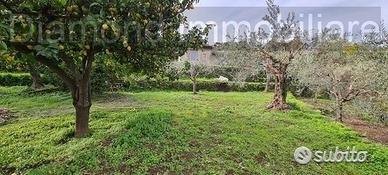 Terreno 1300 mq in parte edificabile Piedimonte
