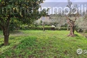 Terreno 1300 mq in parte edificabile Piedimonte