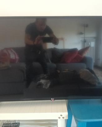 LG 43UP75006LF Smart TV LED 4K Ultra HD 43”