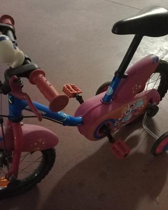 Bicicletta 