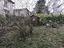 Immagine 26