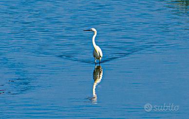 Appartamento in multiproprietà in residence