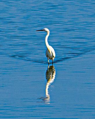 Appartamento in multiproprietà in residence