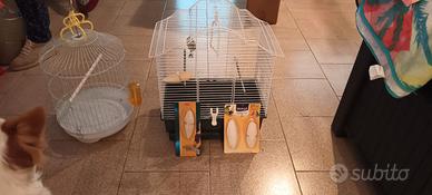 gabbia per uccellini
