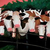 Barbara Friehs-vera pop art-pubblicato