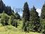 Immagine 20