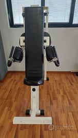Lateral Raise Technogym Macchina Alzate Laterali