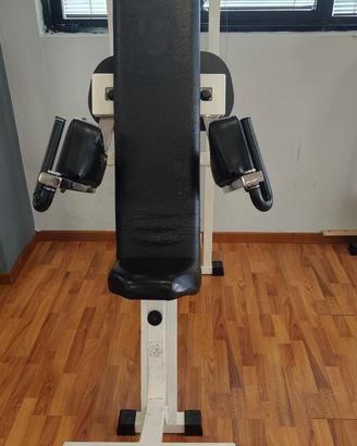 Lateral Raise Technogym Macchina Alzate Laterali