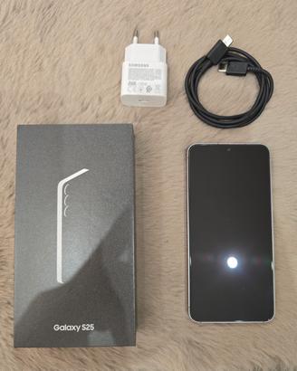 Samsung Galaxy S25 