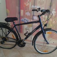 Bicicletta Specialized Globe City 7.1