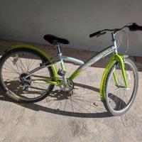 bici da passeggio 
