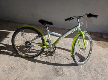 bici da passeggio 