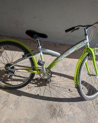 bici da passeggio 