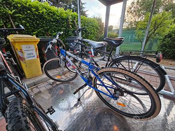 Bicicletta mtb