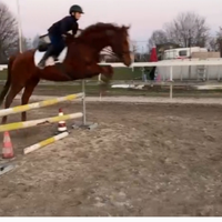 Cavallo