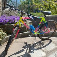 Bicicletta mountain bike