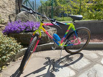Bicicletta mountain bike