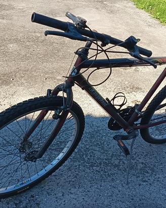bici Mountain bike 