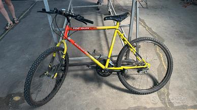 mountain bike