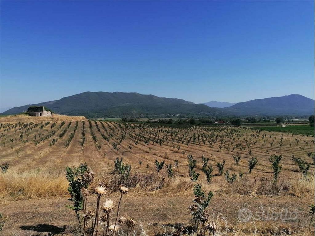 Terreno di 360000 m² a Pietramelara - Vista 2