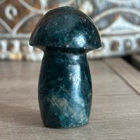 Funghetto in Apatite