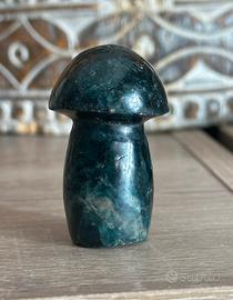 Funghetto in Apatite