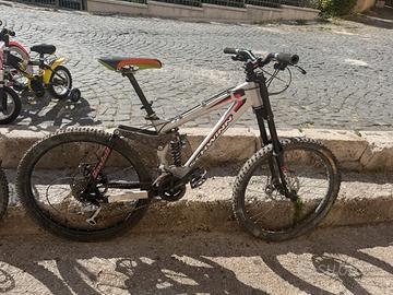SCHWINN BICI DA DOWNHILL