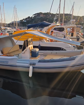 GOMMONE NJ KING 600, Mercury 150cv + carrello