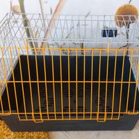 Trasportino/gabbia per cane taglia beagle