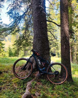 Specialized Turbo levo comp HT BATTERIA NUOVA