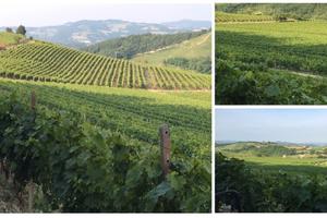 VIGNETI - ABITAZIONI e Spazio per Tutto il Resto