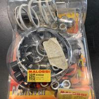 Variatore Malossi Cod: 5115308 USATO per Piaggio B