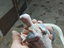 Immagine 1